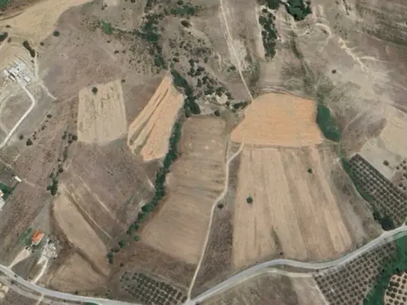 Land In Sithonia, Greece