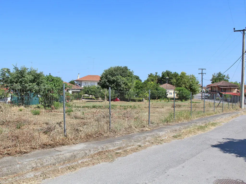 Land Of 1810 M² On The Olympic Coast