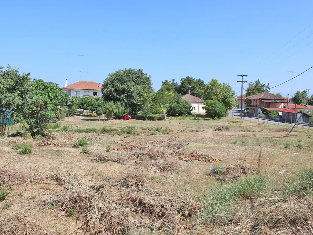 Land Of 1810 M² On The Olympic Coast