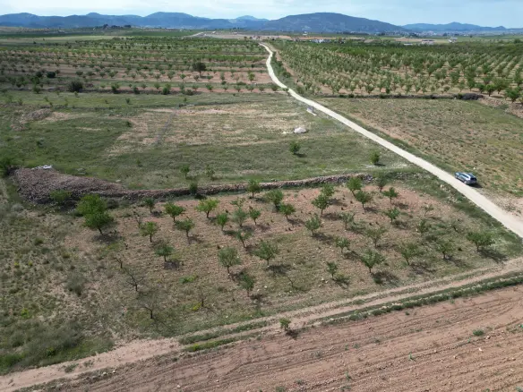 Land Of 0 M² In Pinoso, Spain