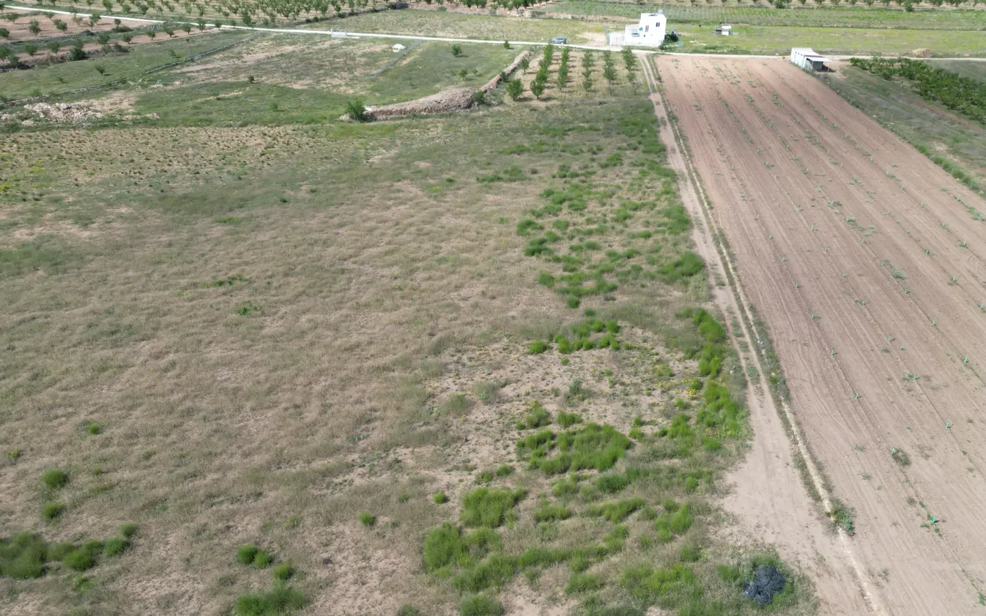Land Of 0 M² In Pinoso, Spain