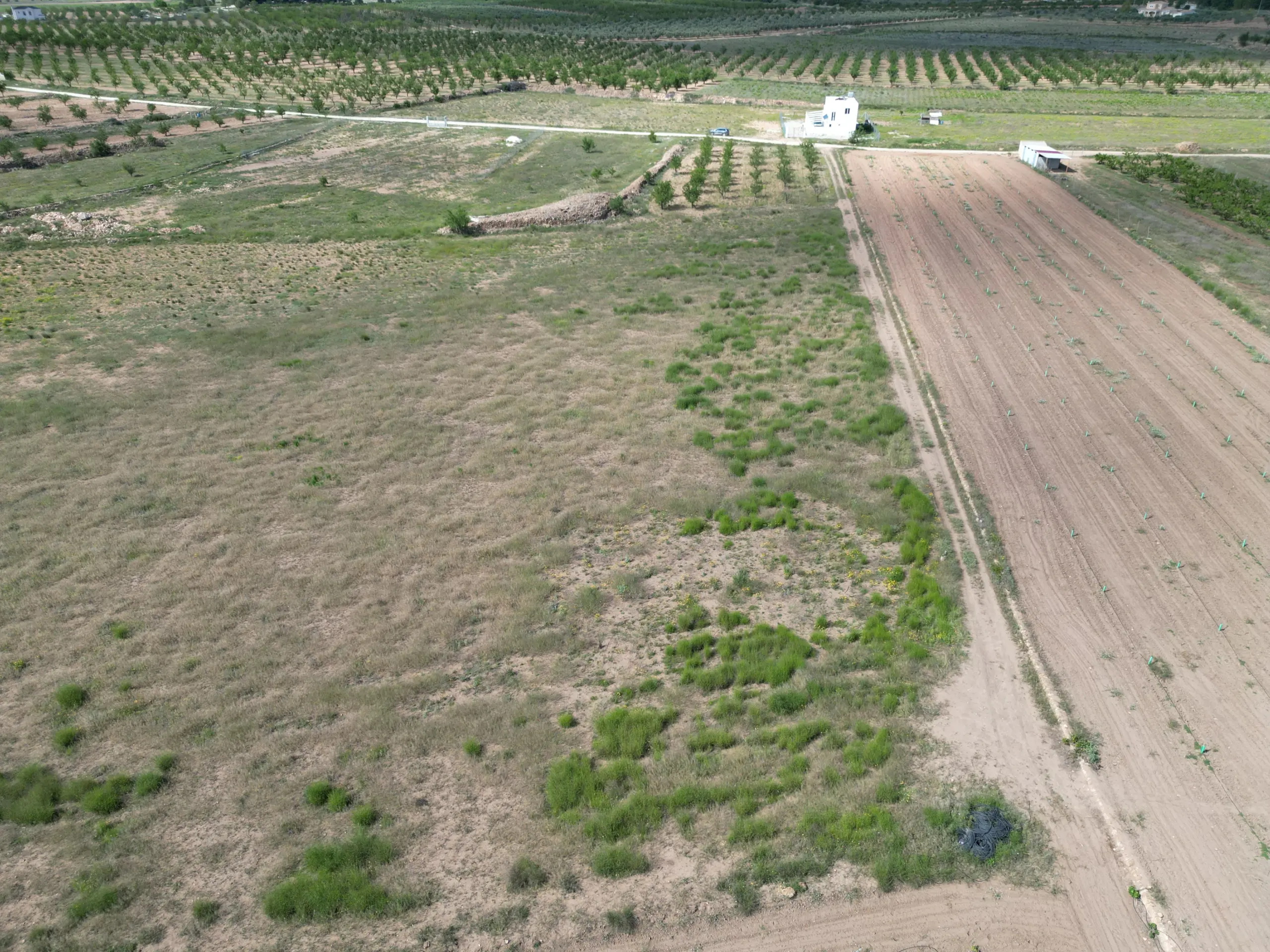 Land Of 0 M² In Pinoso, Spain