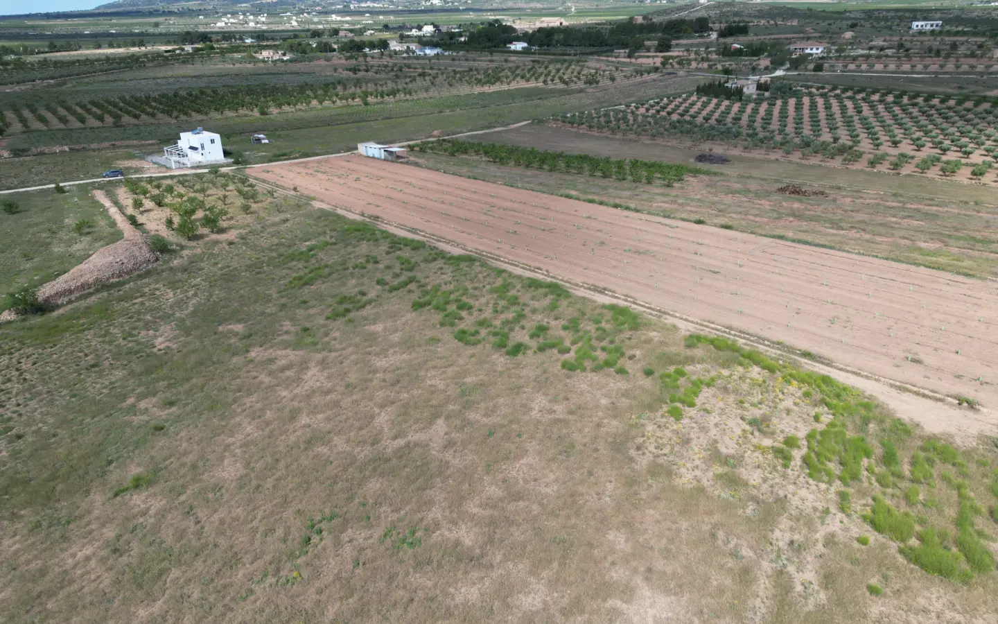 Land Of 0 M² In Pinoso, Spain