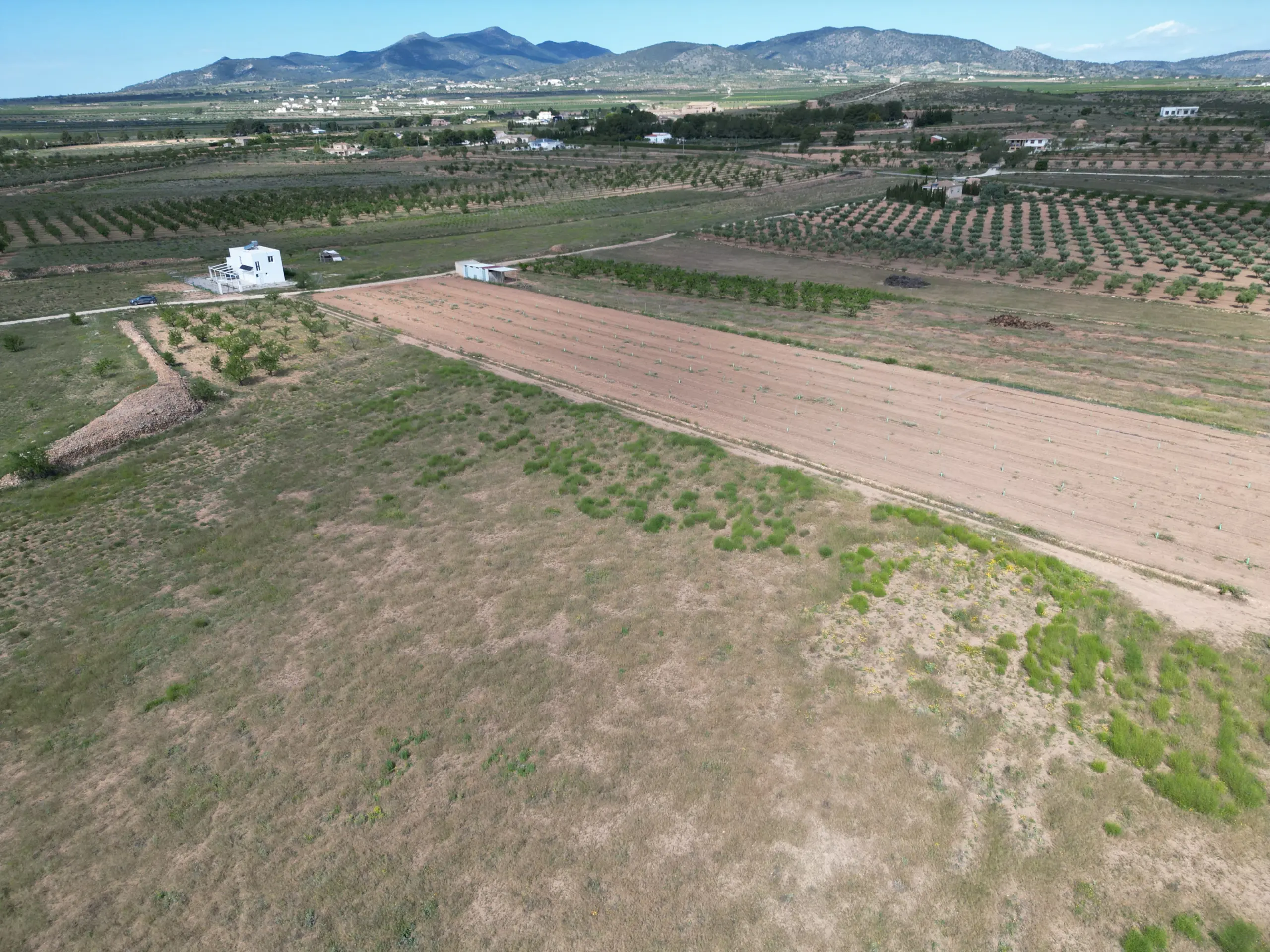 Land Of 0 M² In Pinoso, Spain