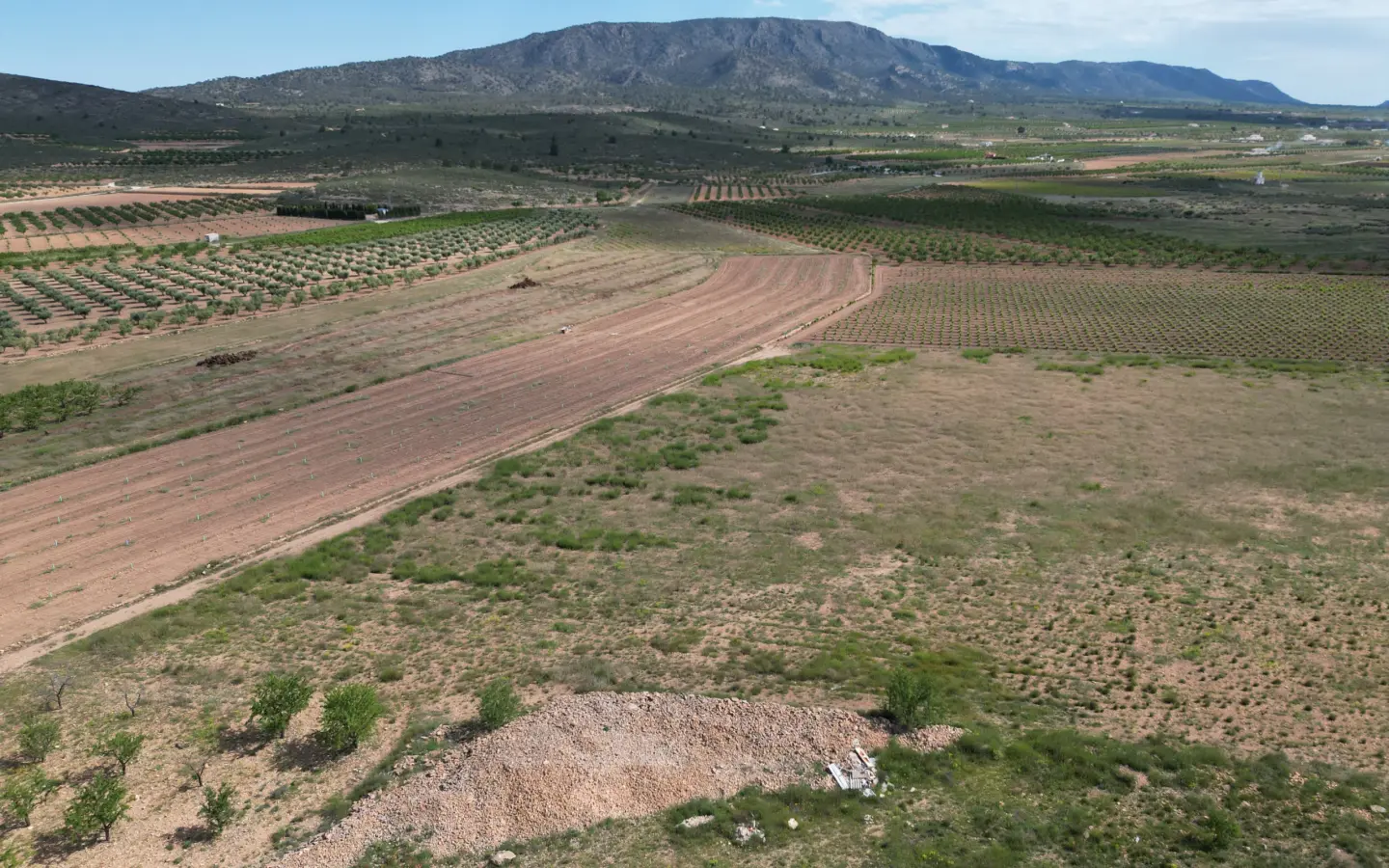 Land Of 0 M² In Pinoso, Spain