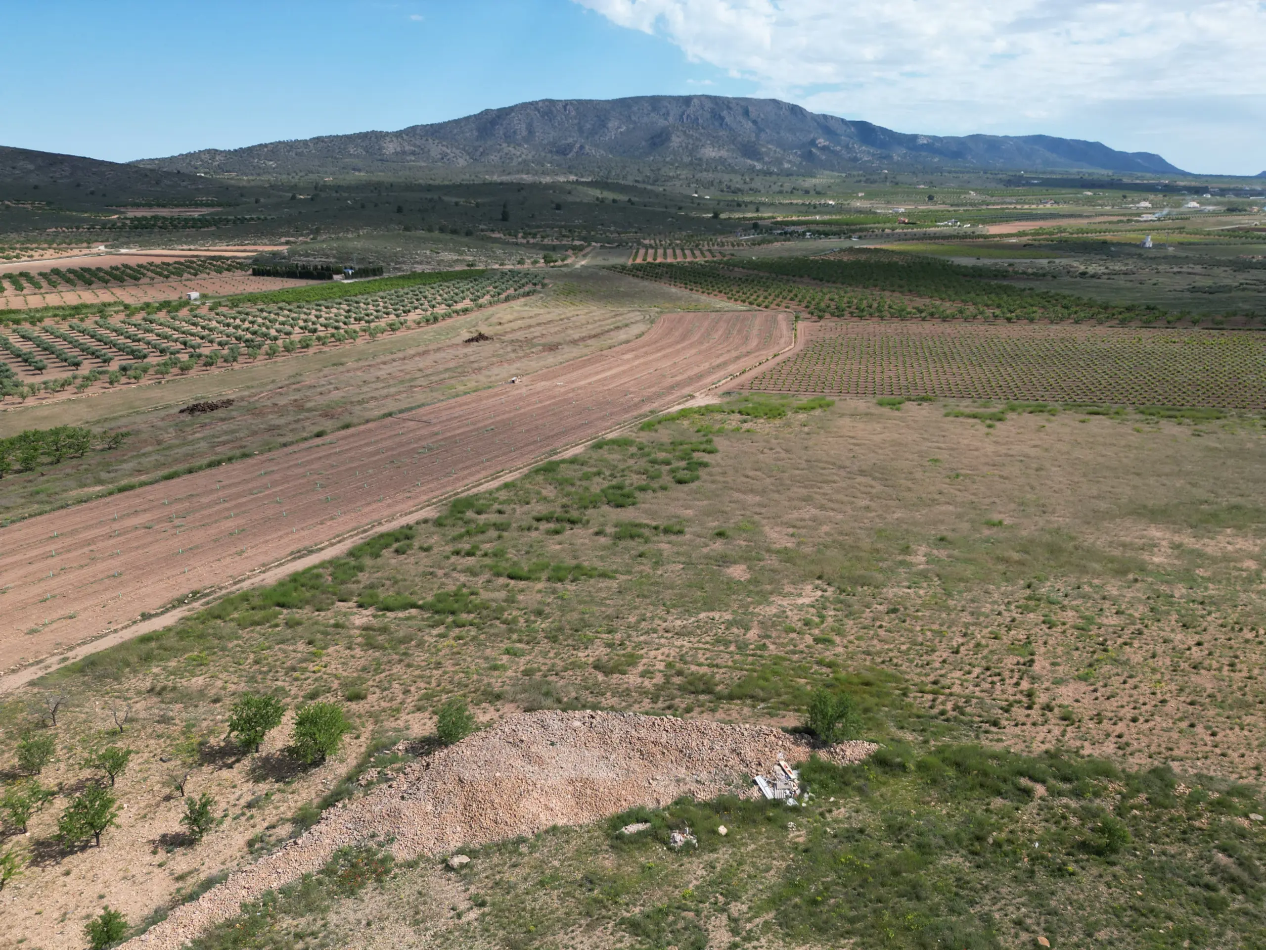 Land Of 0 M² In Pinoso, Spain