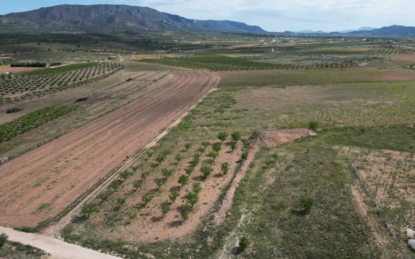 Land Of 0 M² In Pinoso, Spain