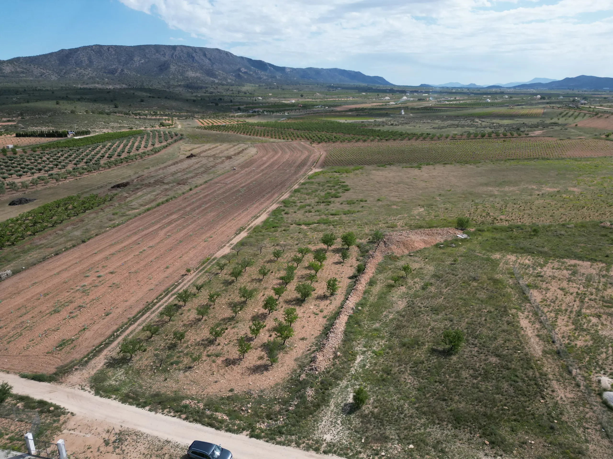 Land Of 0 M² In Pinoso, Spain