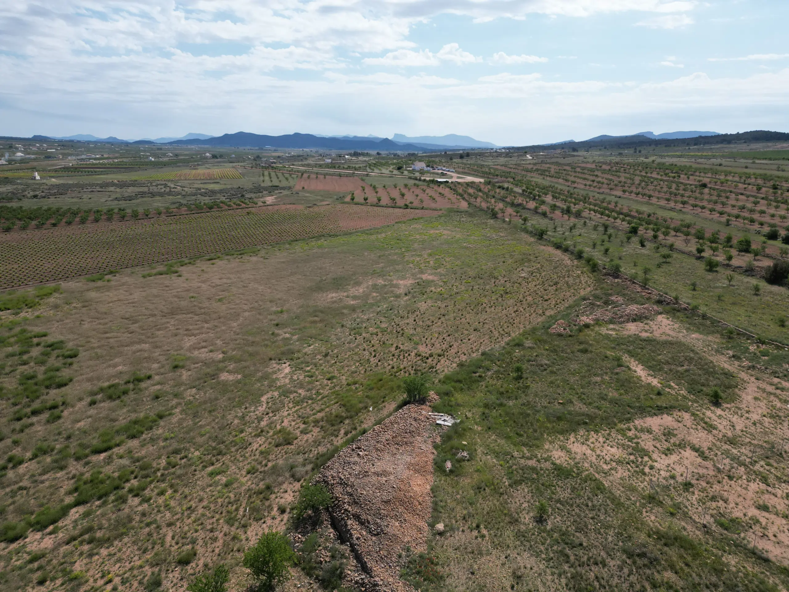 Land Of 0 M² In Pinoso, Spain