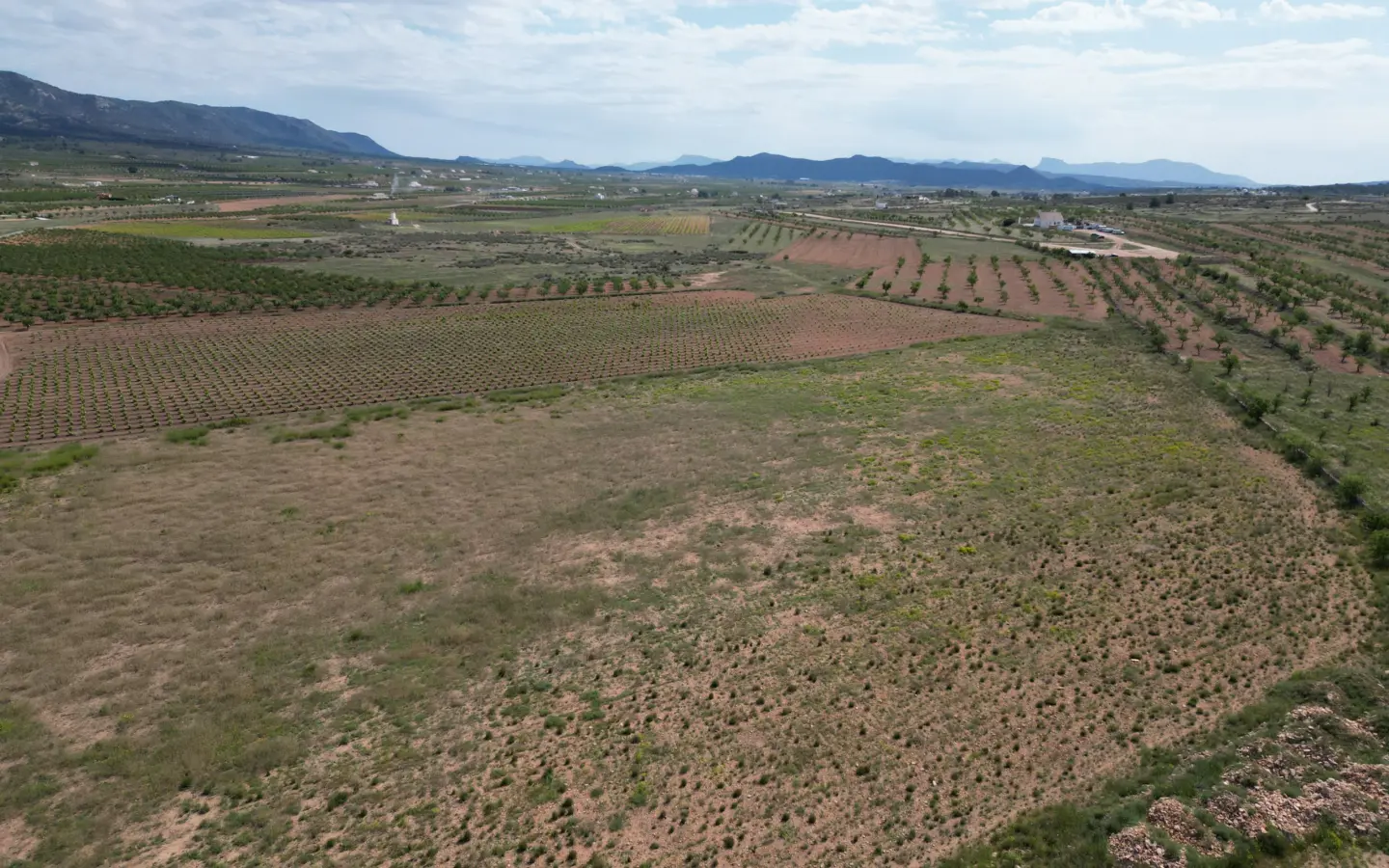 Land Of 0 M² In Pinoso, Spain