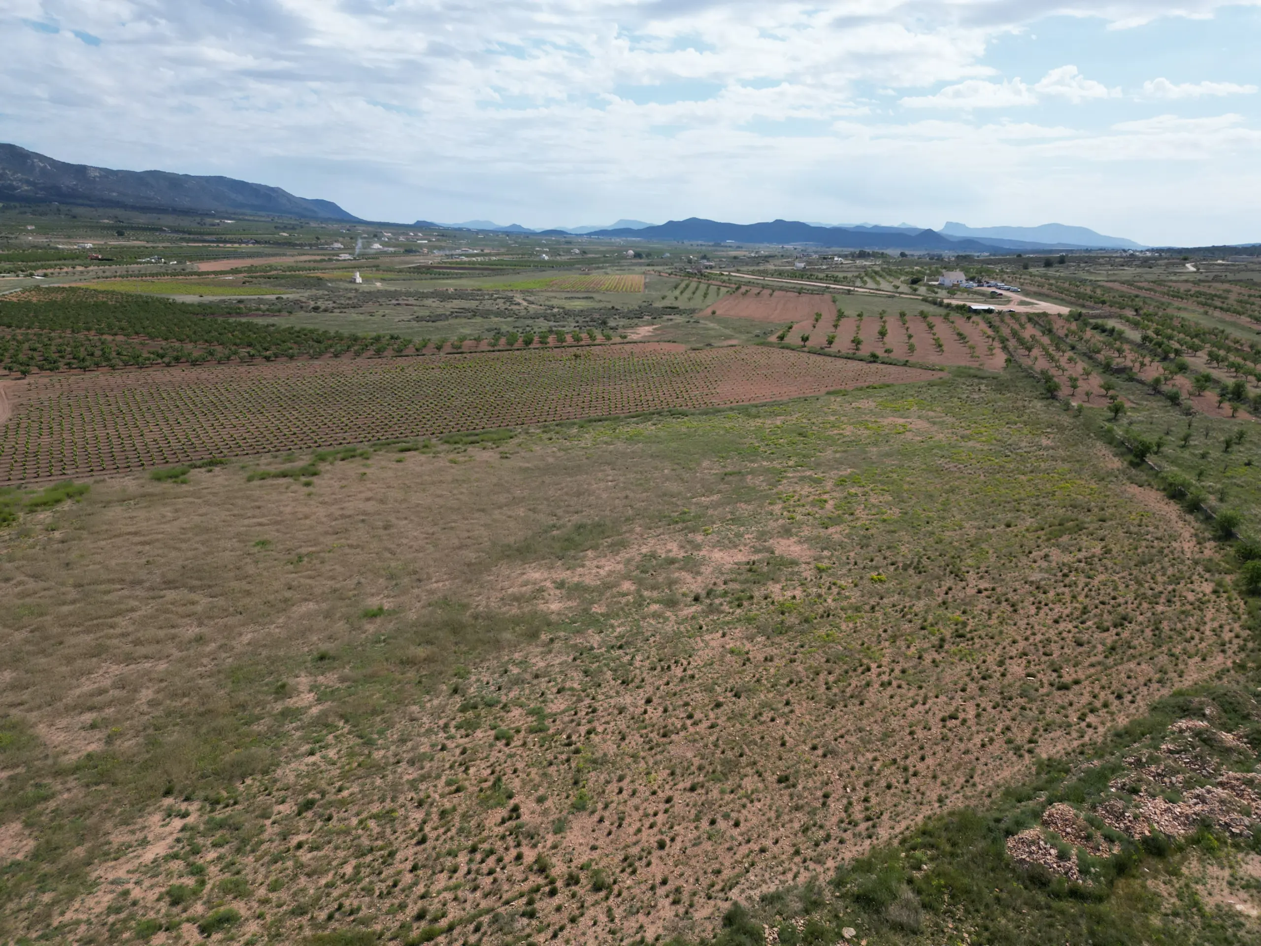 Land Of 0 M² In Pinoso, Spain