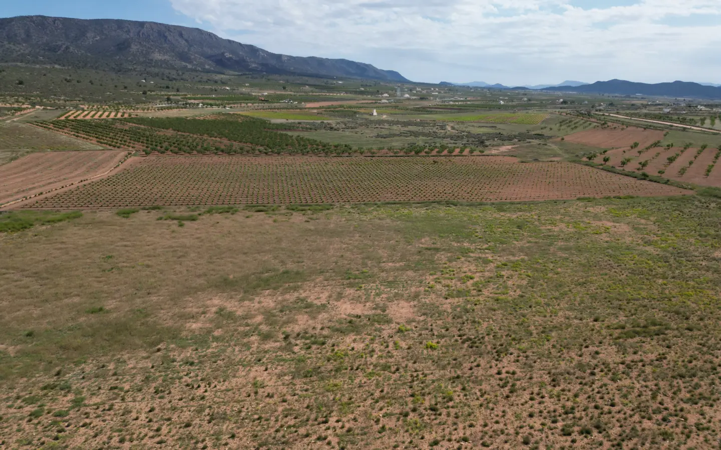 Land Of 0 M² In Pinoso, Spain