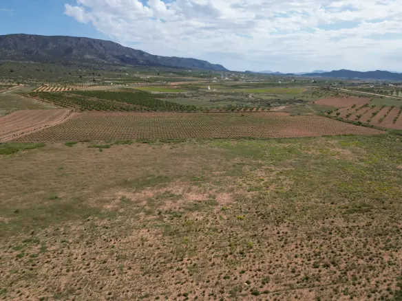 Land In Pinoso, Spain (10.454 M² Plot)