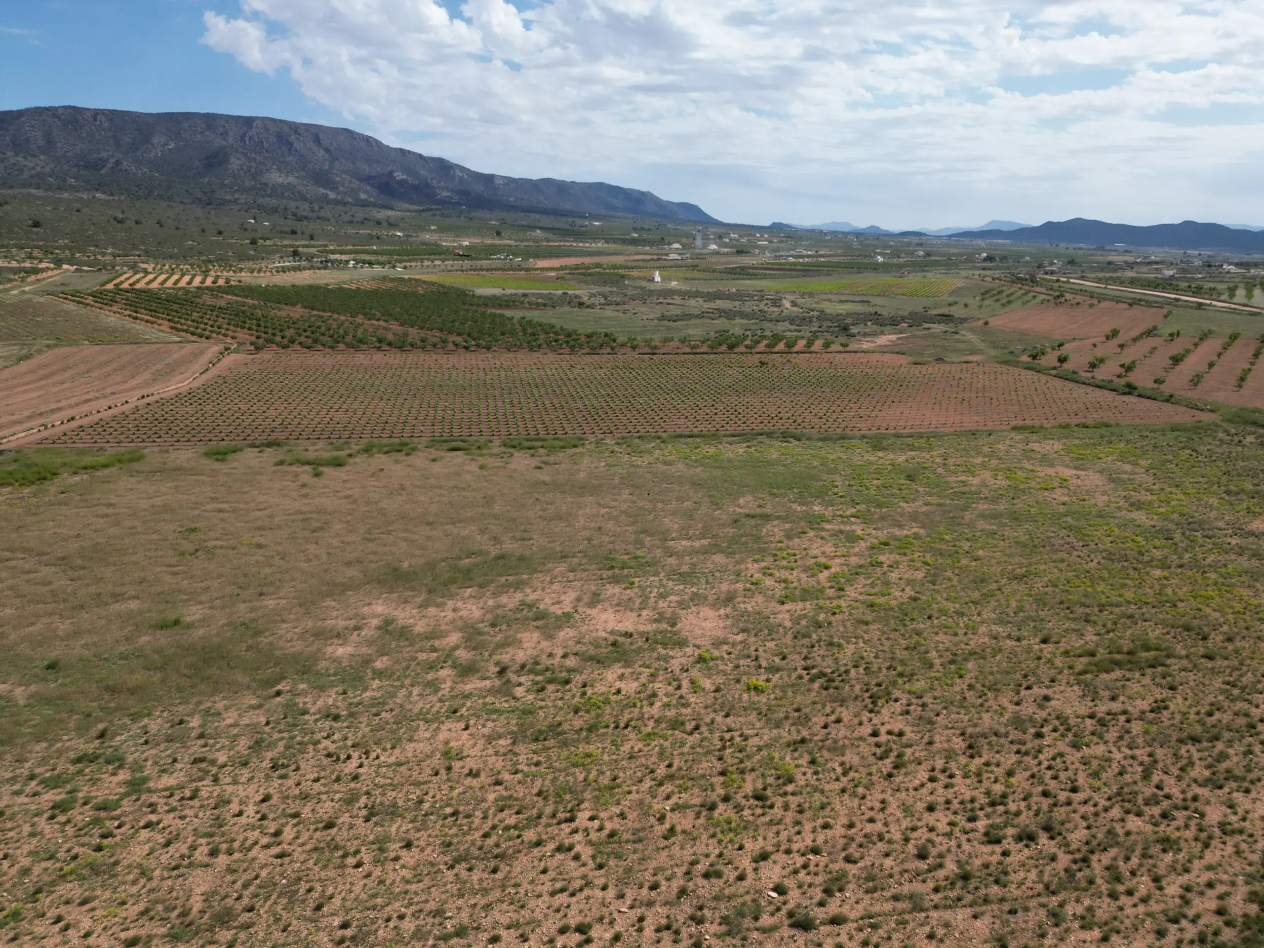 Land Of 0 M² In Pinoso, Spain