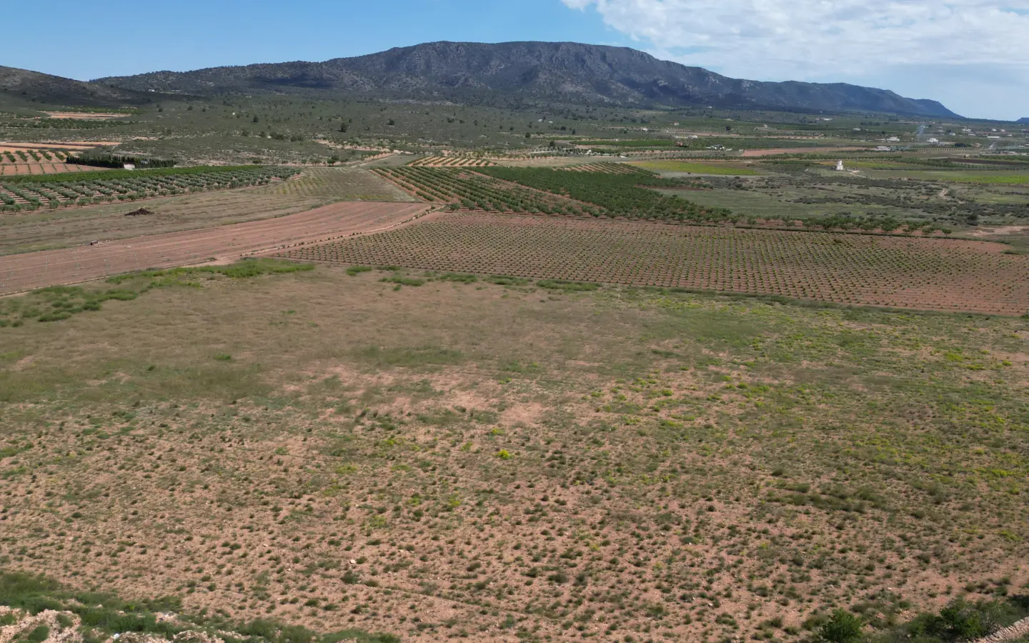 Land Of 0 M² In Pinoso, Spain