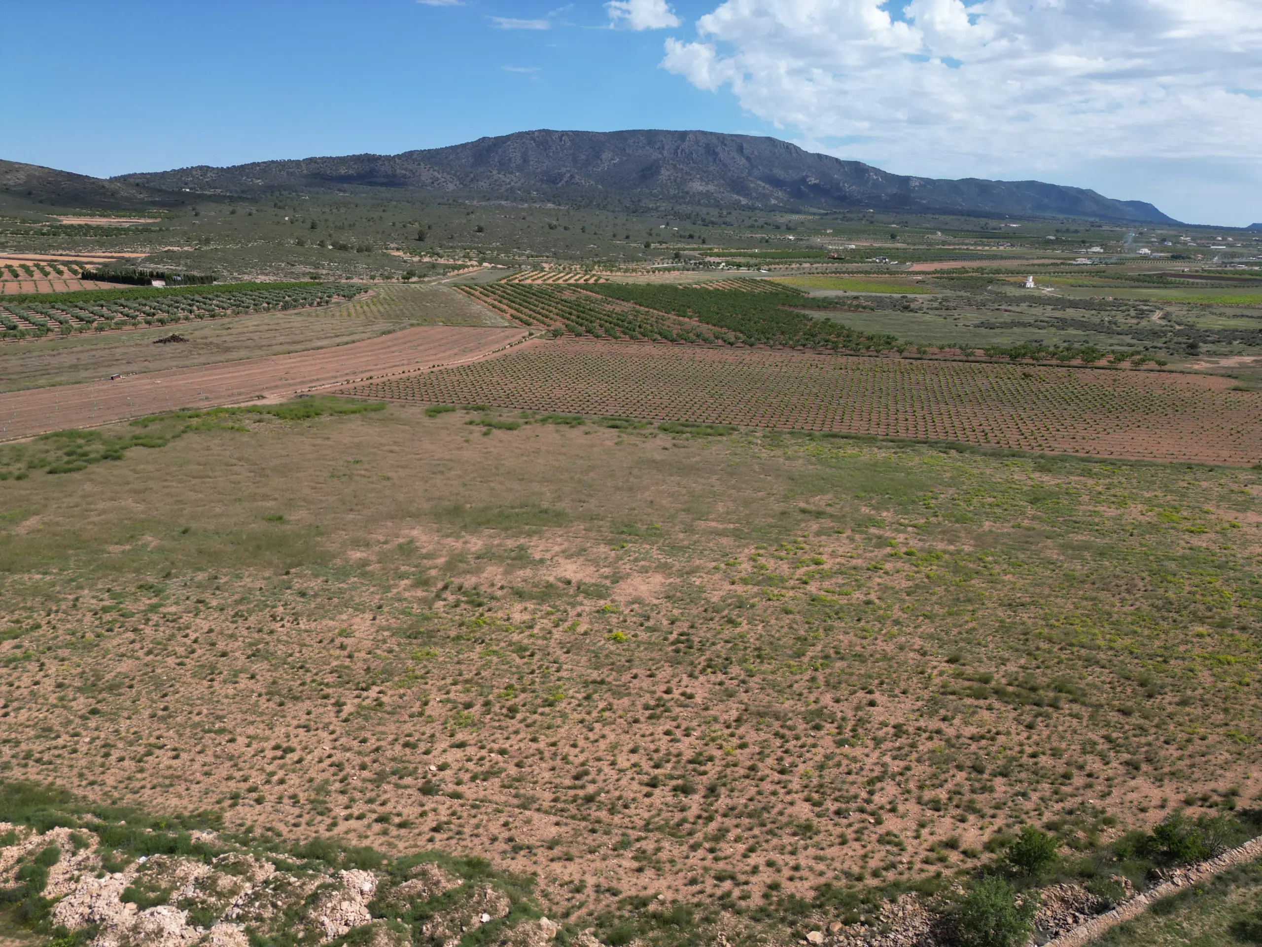 Land Of 0 M² In Pinoso, Spain