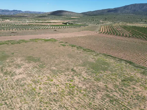 Land In Pinoso, Spain (10.454 M² Plot)