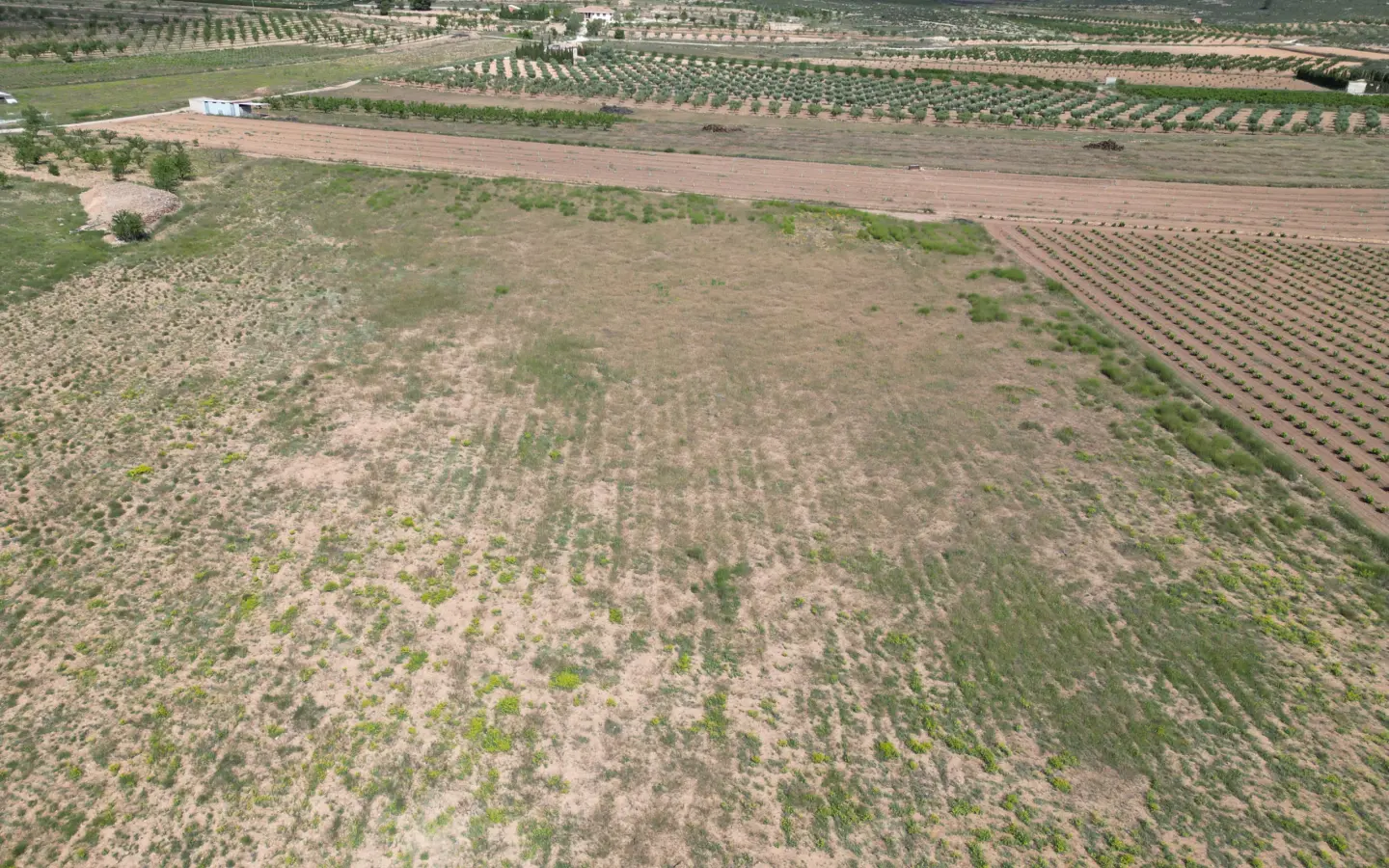 Land Of 0 M² In Pinoso, Spain
