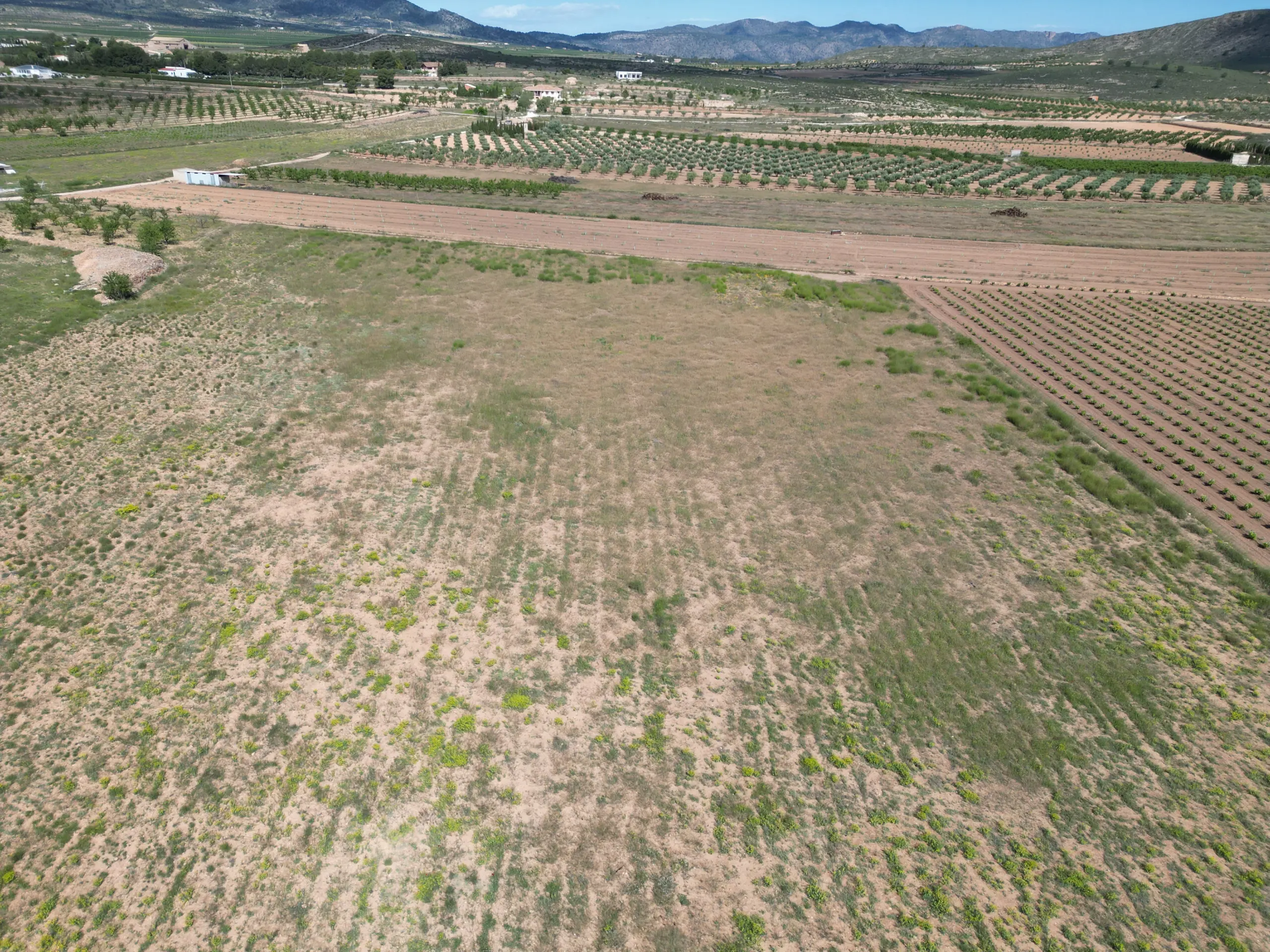 Land Of 0 M² In Pinoso, Spain