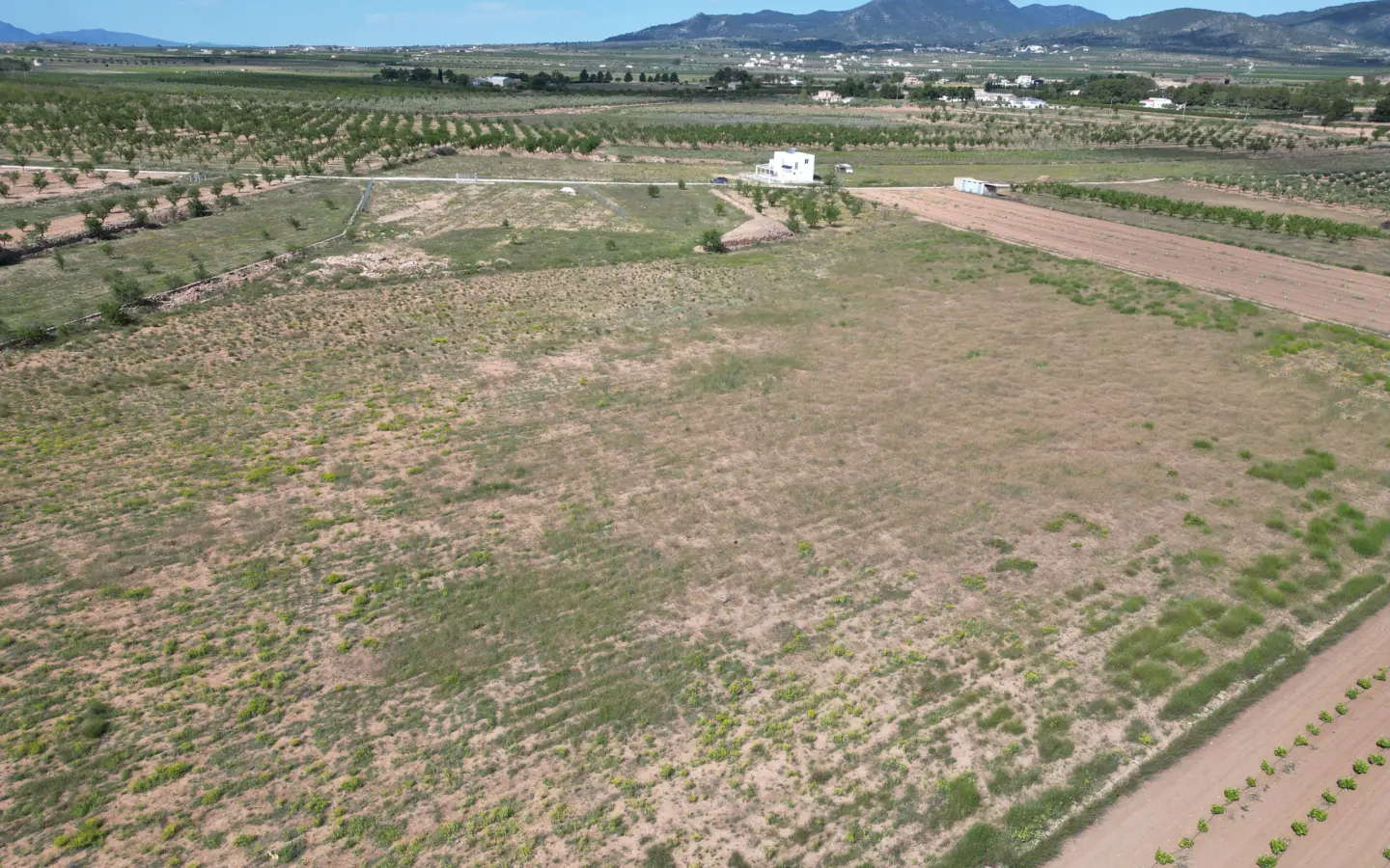 Land Of 0 M² In Pinoso, Spain