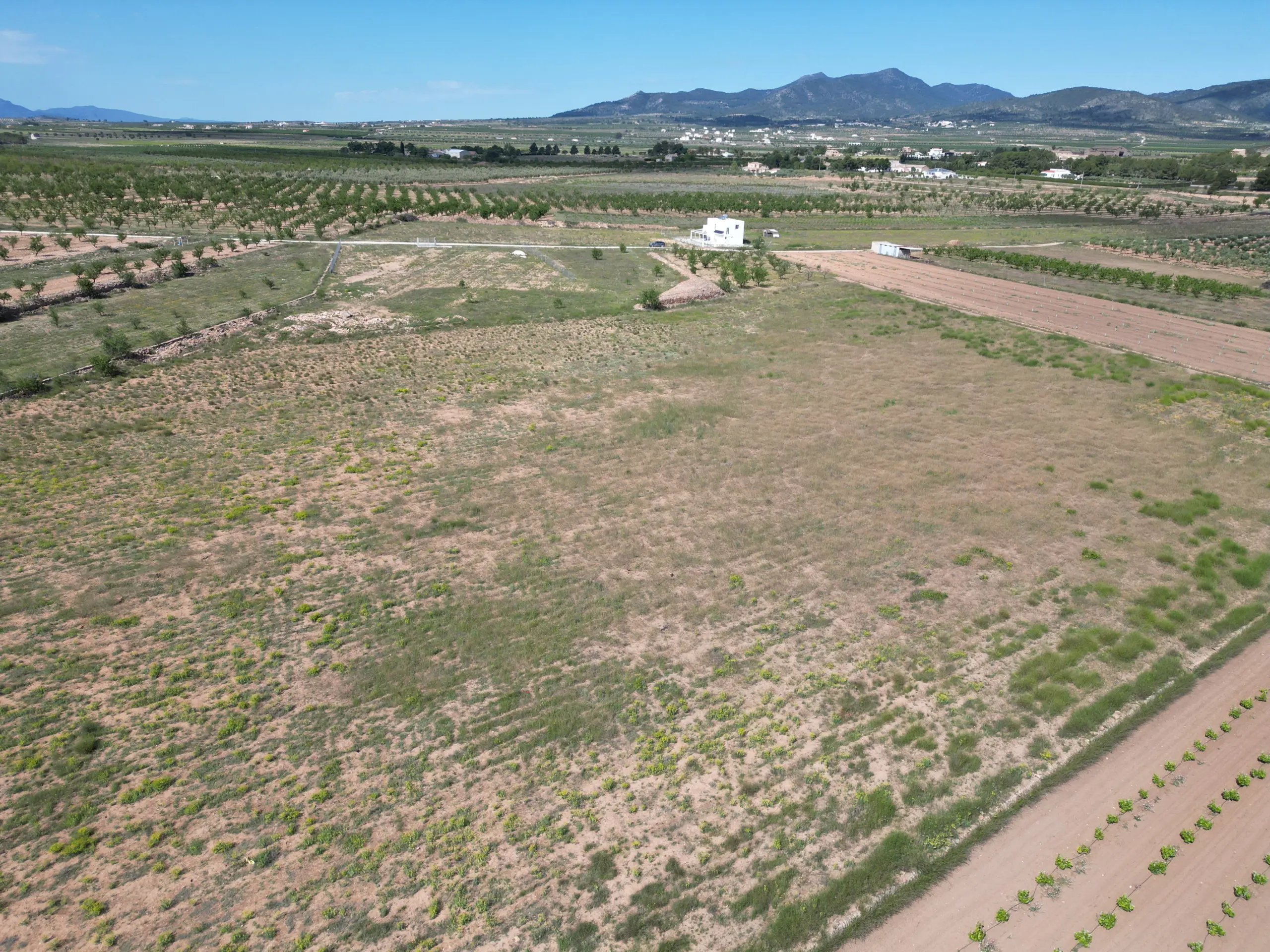 Land Of 0 M² In Pinoso, Spain