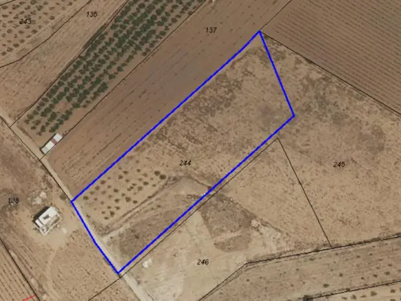 Land In Pinoso, Spain (10.542 M² Plot)