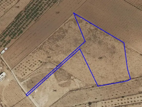 Land In Pinoso, Spain (10.454 M² Plot)