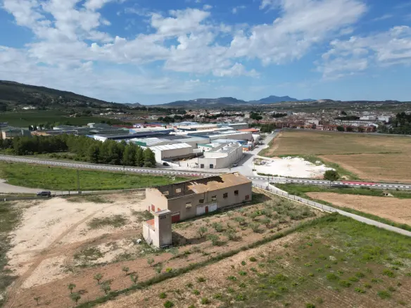 Land In Pinoso, Spain (442 M²)