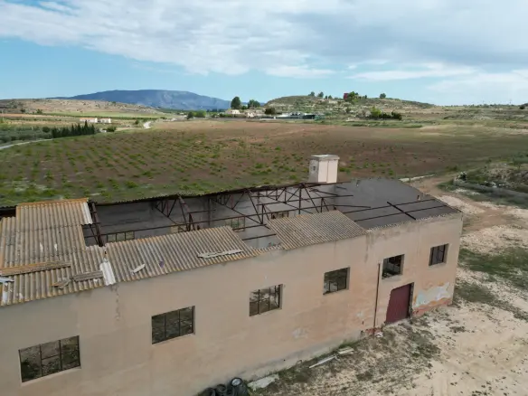 Land In Pinoso, Spain (442 M²)
