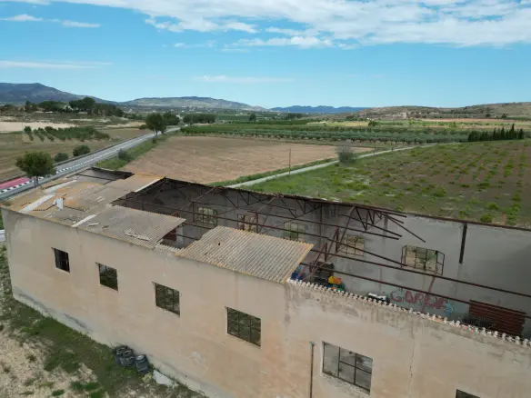 Land In Pinoso, Spain (442 M²)