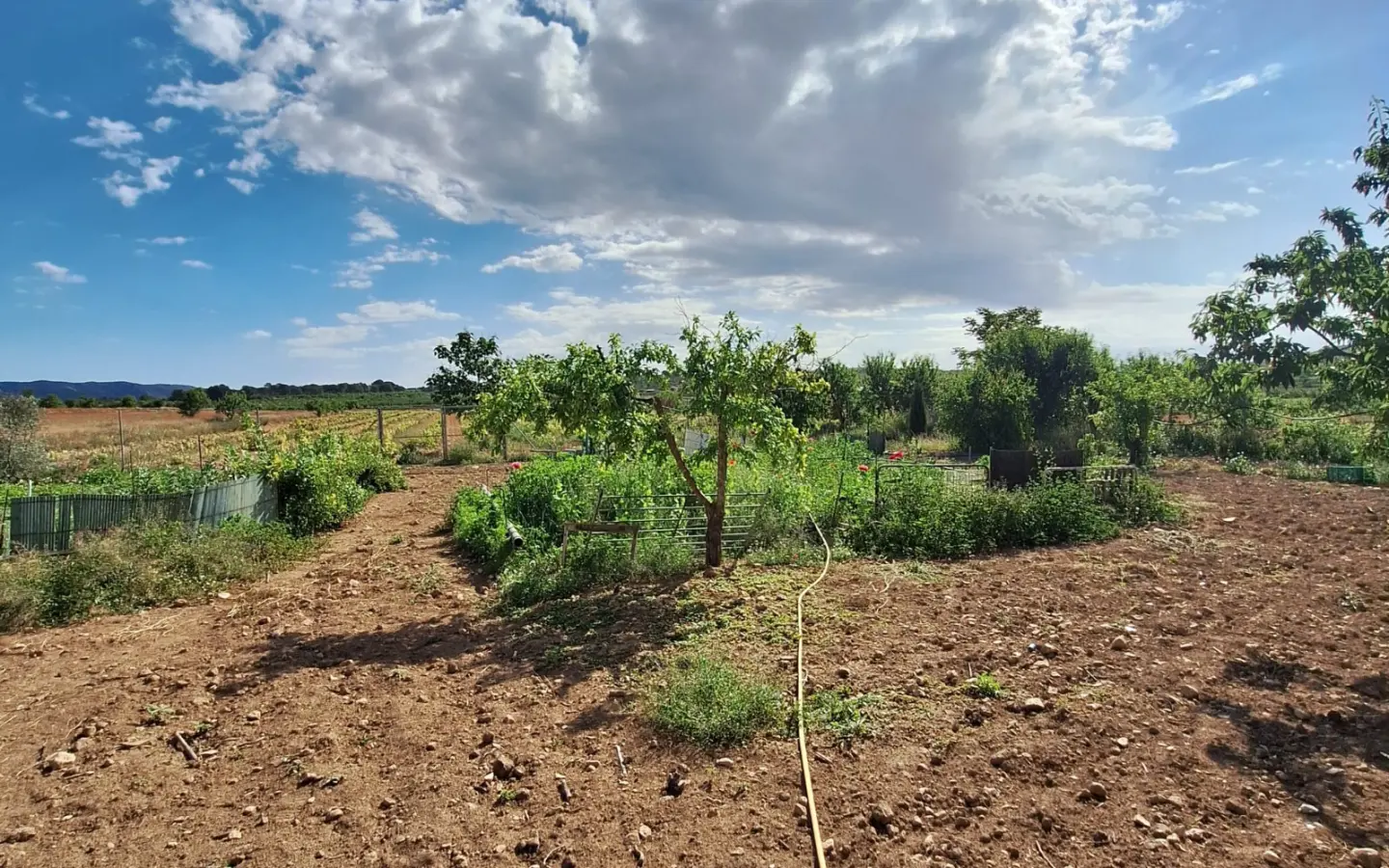 Land Of 94 M² In Pinoso, Spain