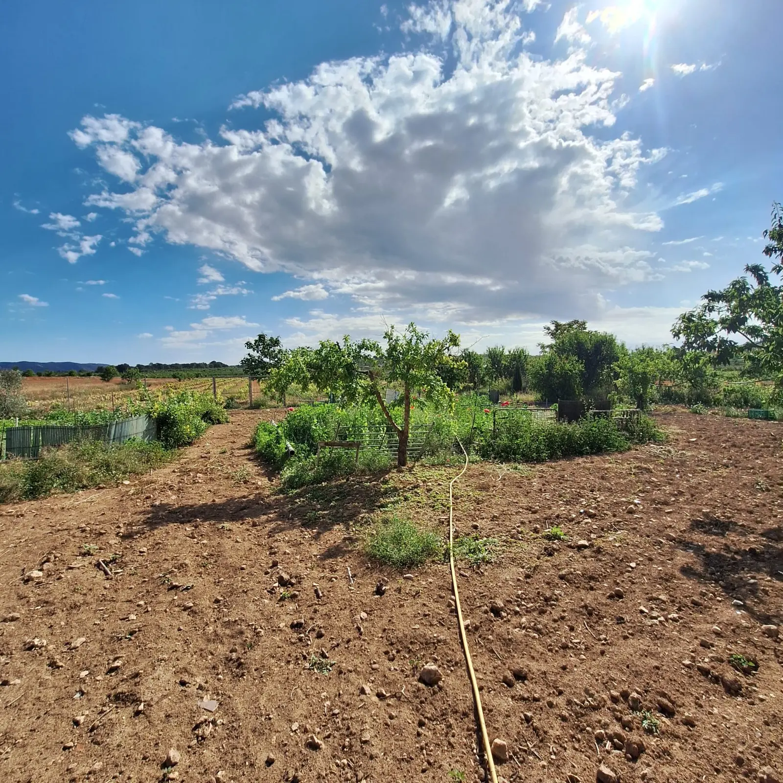 Land Of 94 M² In Pinoso, Spain
