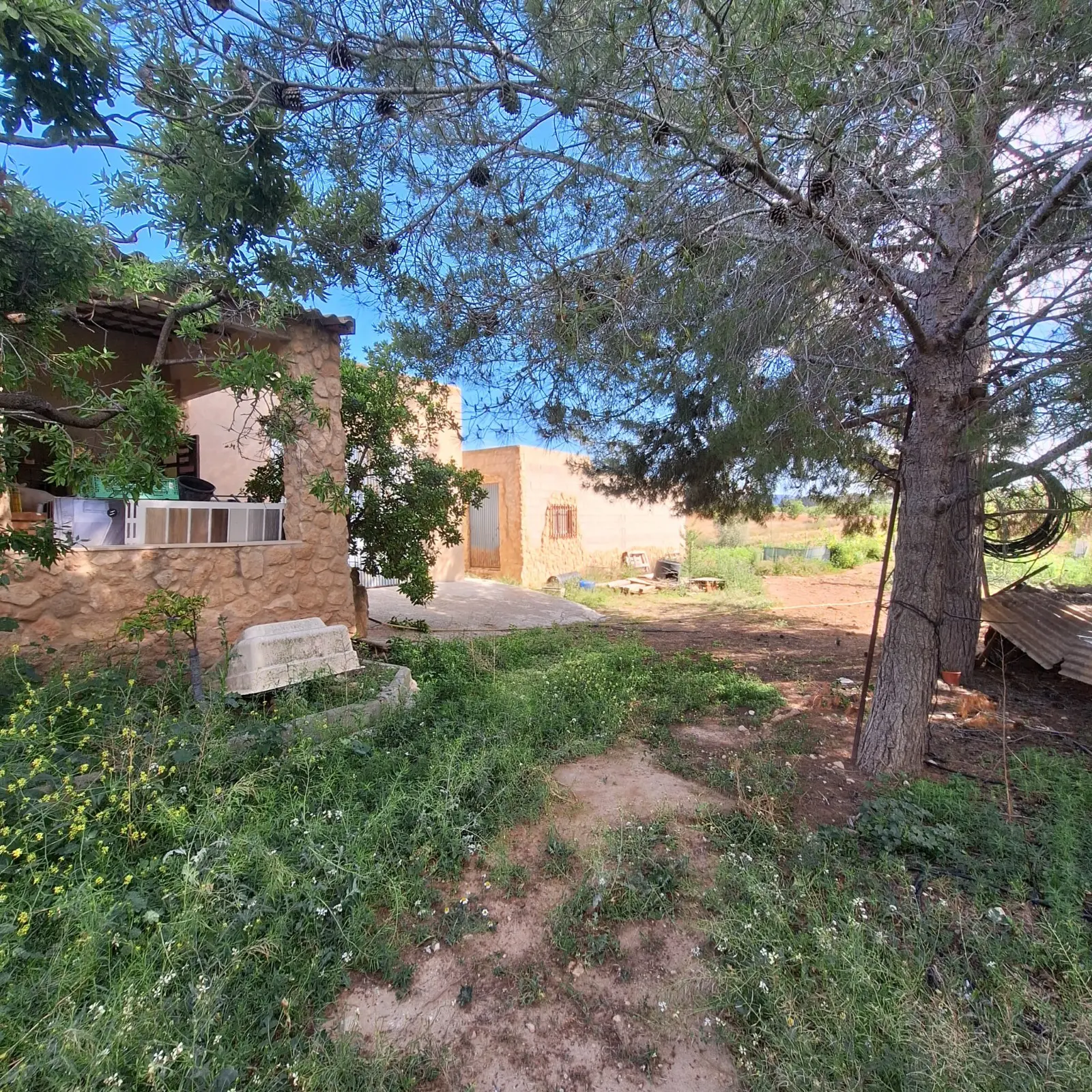 Land Of 94 M² In Pinoso, Spain