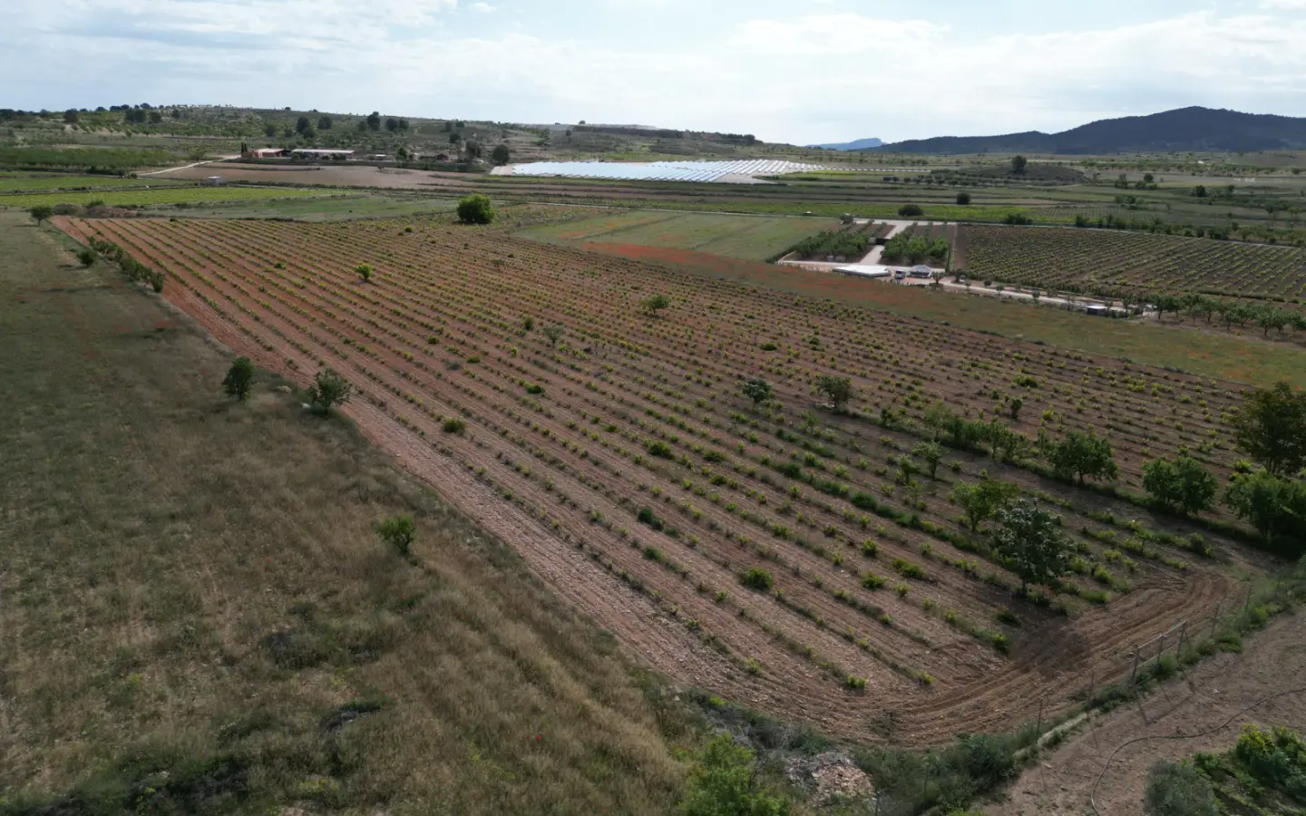 Land Of 94 M² In Pinoso, Spain