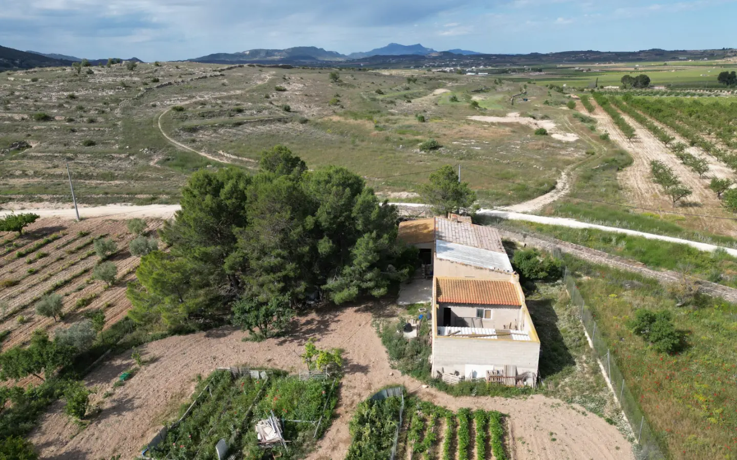 Land Of 94 M² In Pinoso, Spain