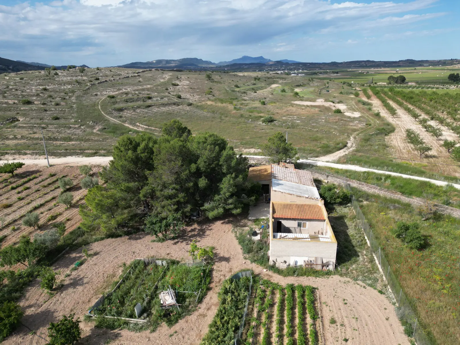 Land Of 94 M² In Pinoso, Spain