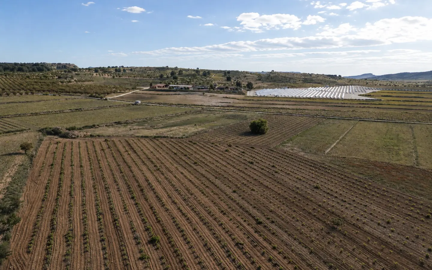 Land Of 94 M² In Pinoso, Spain