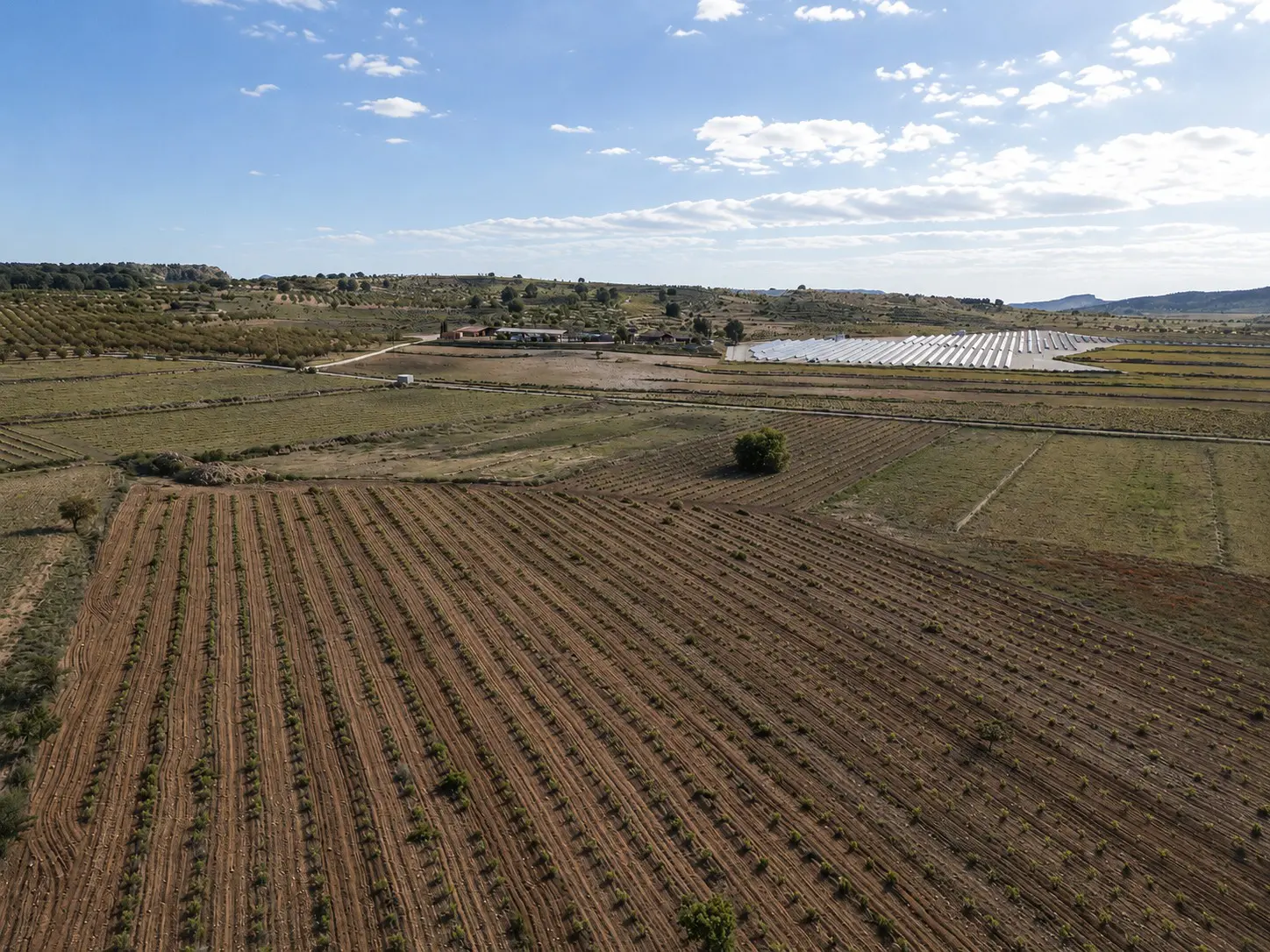 Land Of 94 M² In Pinoso, Spain