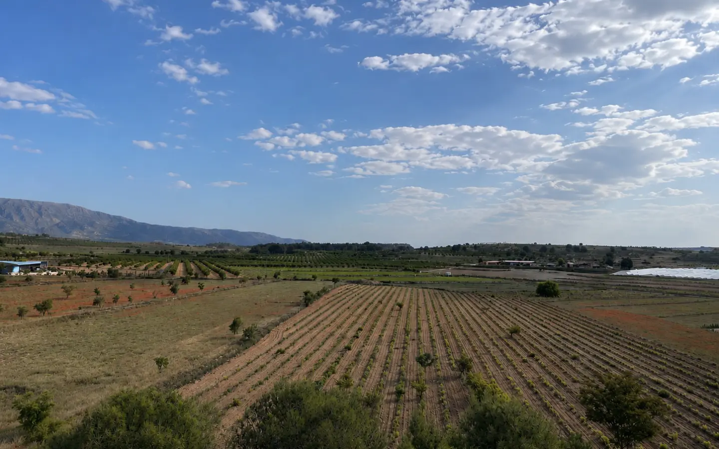 Land Of 94 M² In Pinoso, Spain