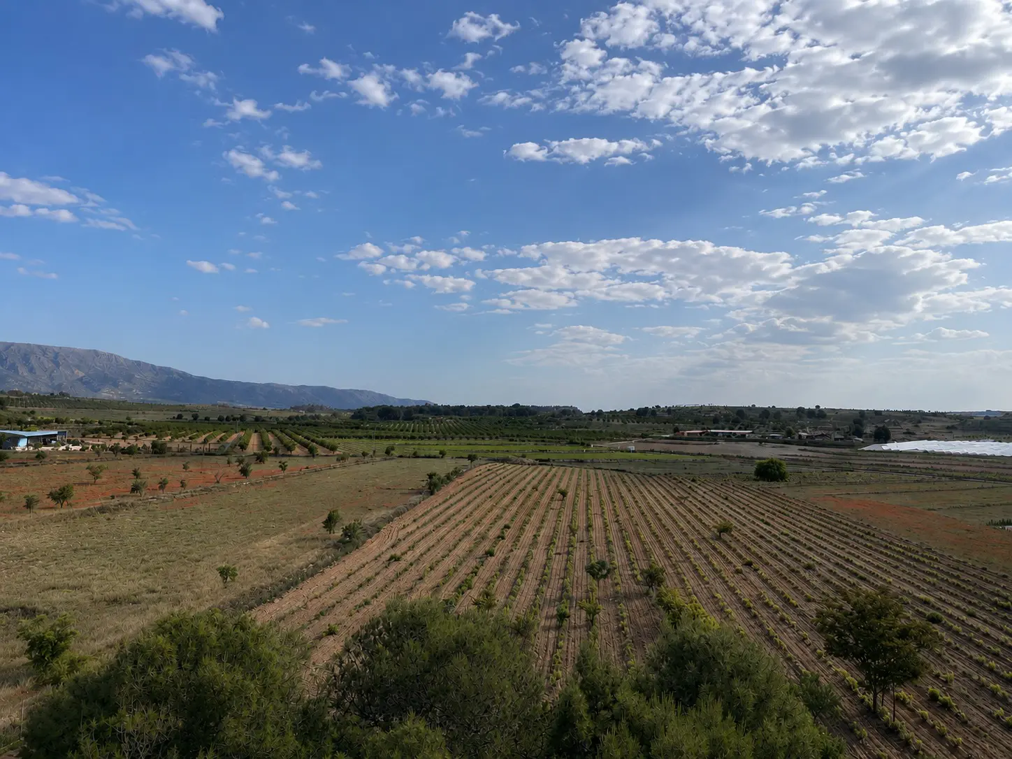 Land Of 94 M² In Pinoso, Spain