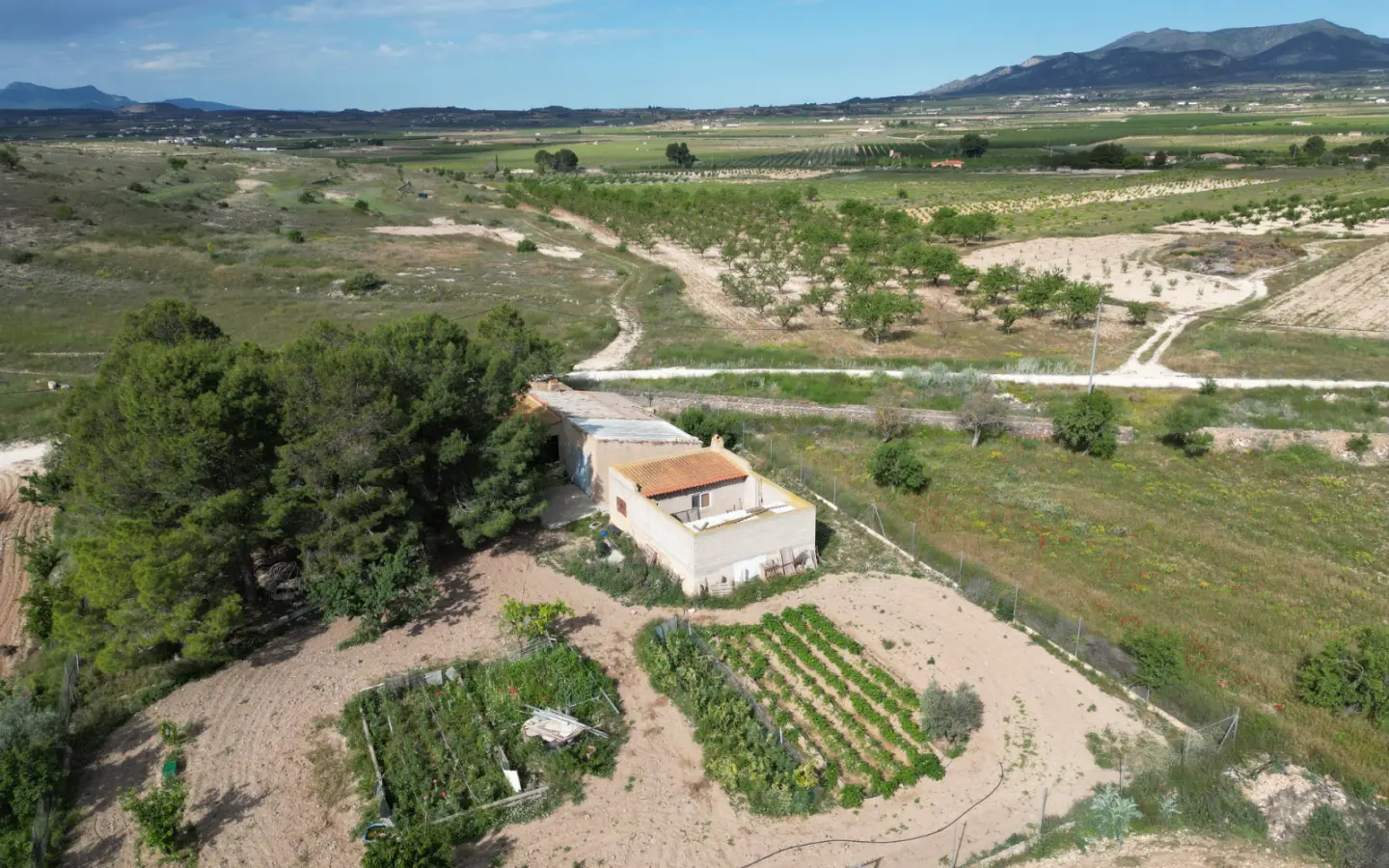 Land Of 94 M² In Pinoso, Spain
