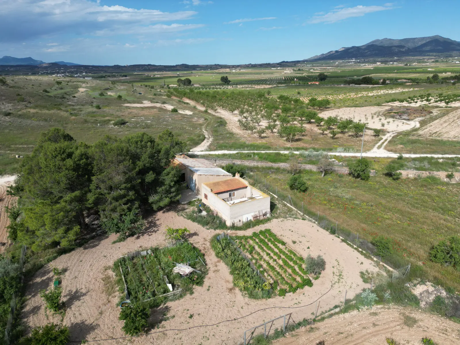 Land Of 94 M² In Pinoso, Spain
