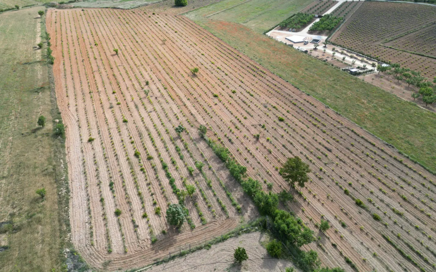 Land Of 94 M² In Pinoso, Spain
