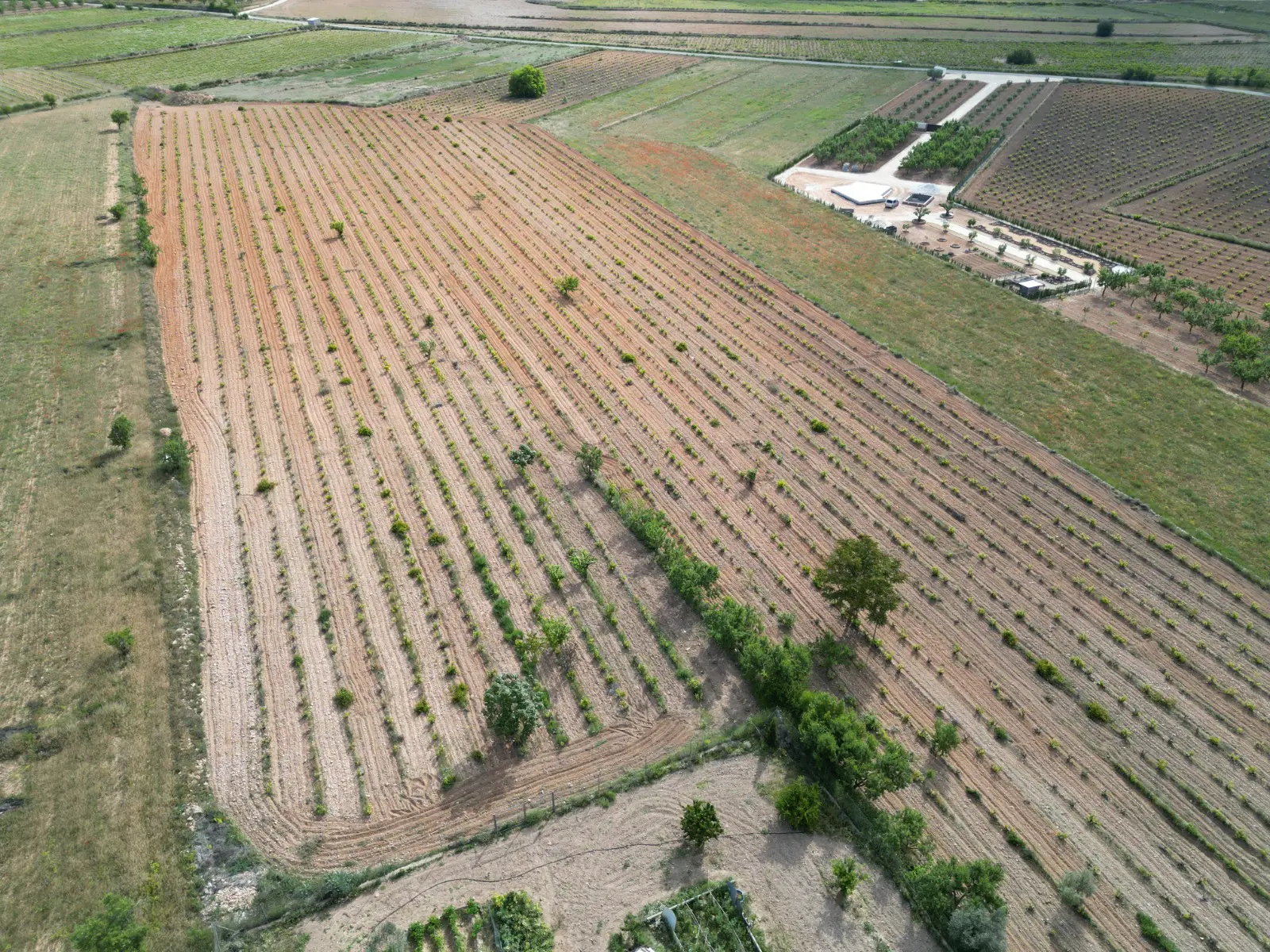 Land Of 94 M² In Pinoso, Spain