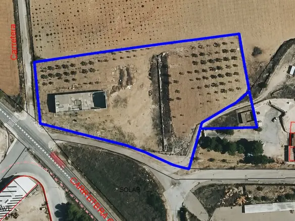 Land In Pinoso, Spain (442 M²)
