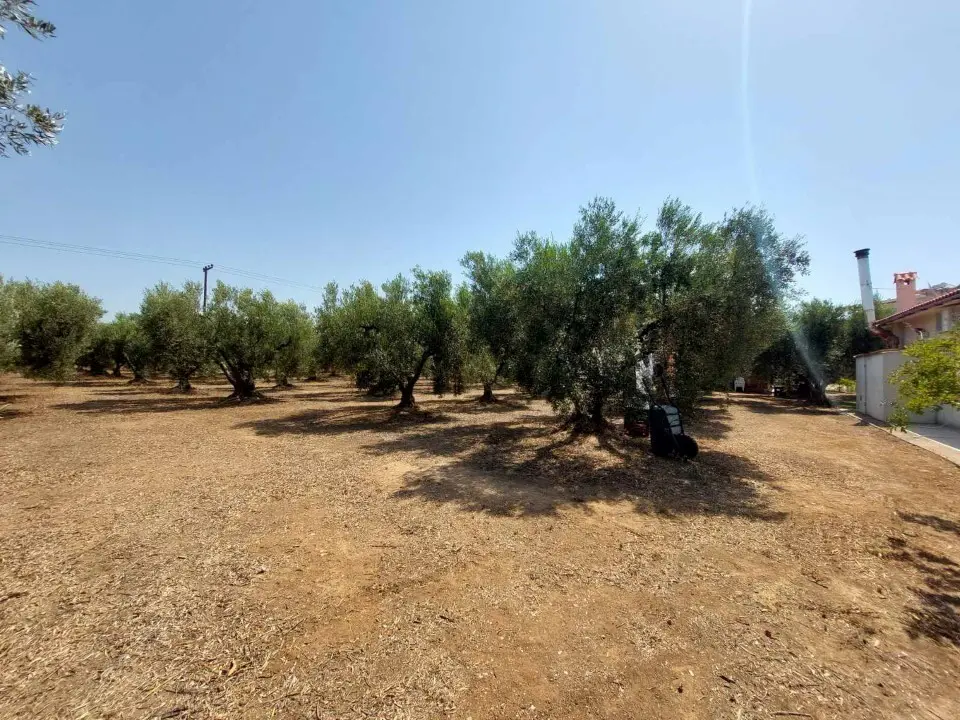 Land Of 19000 M² In Sithonia, Chalkidiki
