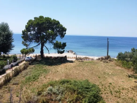 Land In Sithonia, Greece