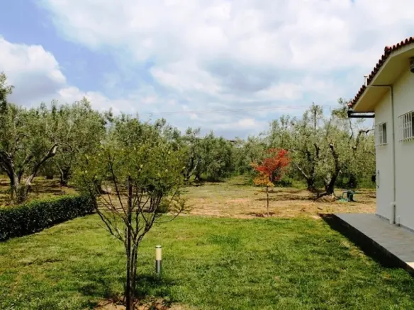 Land In Poligiros, Greece