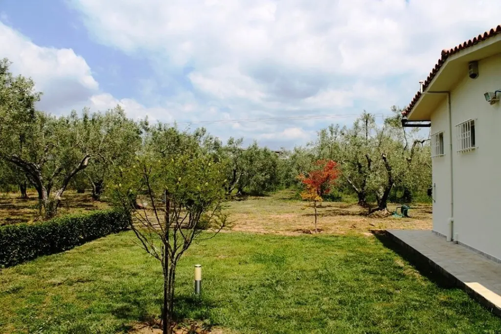 Land Of 19000 M² In Sithonia, Chalkidiki