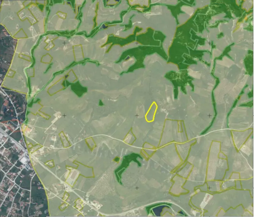 Land Of 5915 M² In Sithonia, Chalkidiki